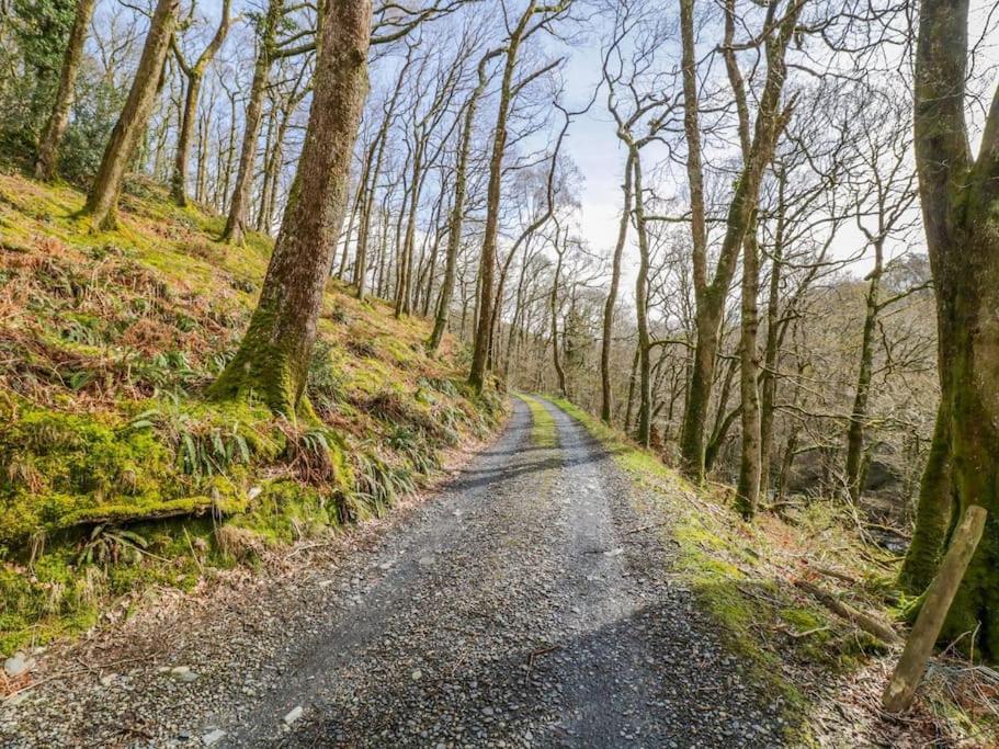 Вілла Y Cwtch - Panoramic Mountain Views Within Snowdonia'S National Park - 4X4 Recommended Долгелай Екстер'єр фото