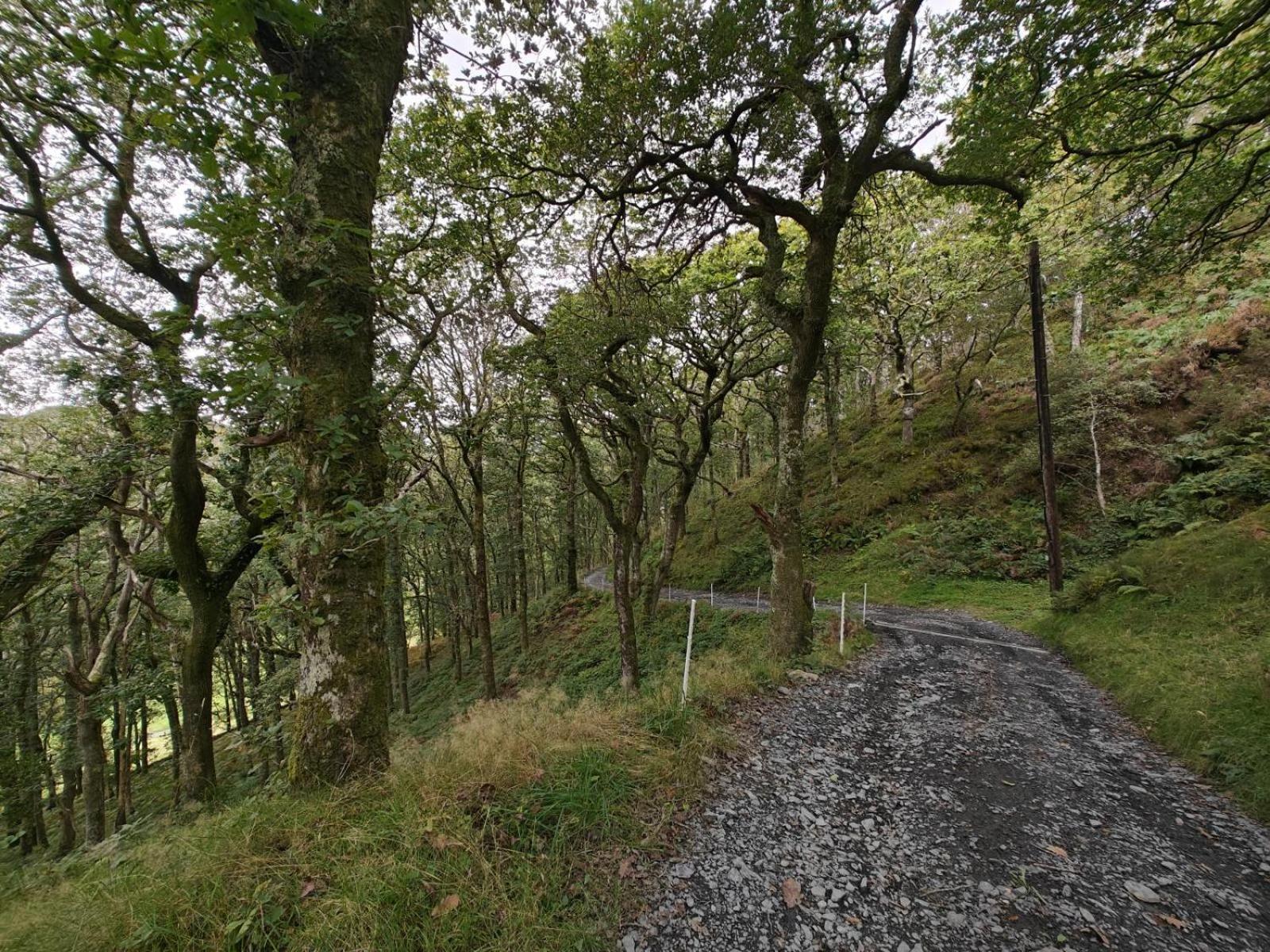 Вілла Y Cwtch - Panoramic Mountain Views Within Snowdonia'S National Park - 4X4 Recommended Долгелай Екстер'єр фото